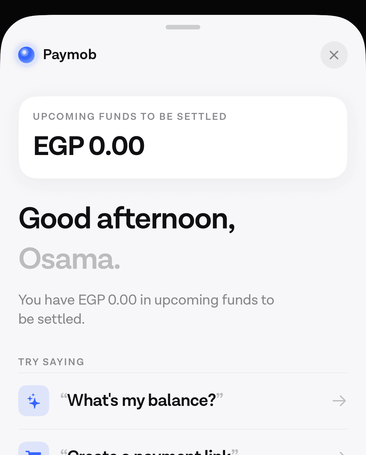 The head of an assistant's opening screen: an upcoming-funds figure, a greeting by first name, and the start of a list headed try saying.