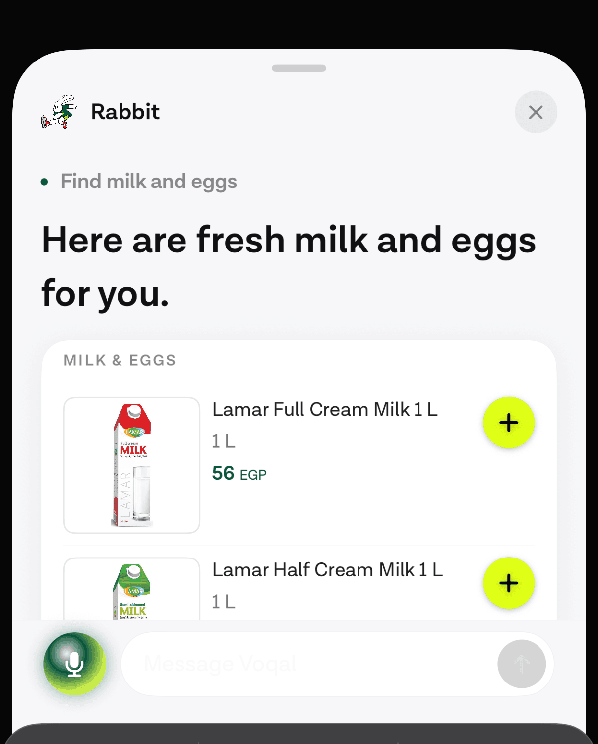 A products widget cropped to the card itself, listing grocery items with sizes, prices in Egyptian pounds and an add control on each row.